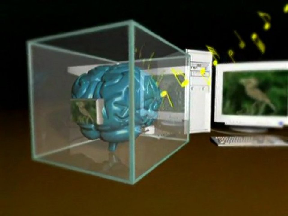 MADDENİN ARDINDAKİ SIR