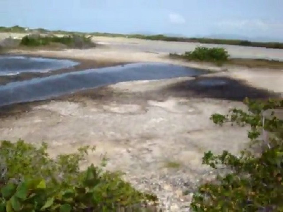 Anguilla's Cove pond along Maundays bay road video 3