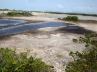 Anguilla's Cove pond along Maundays bay road video 3