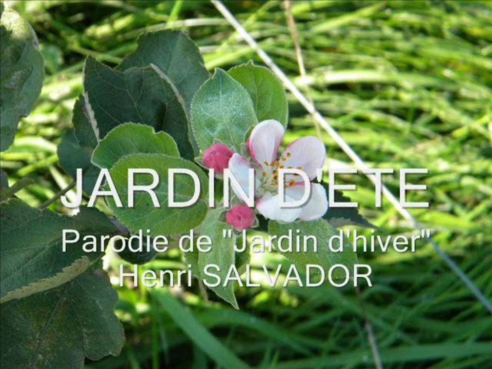Jardin d'été