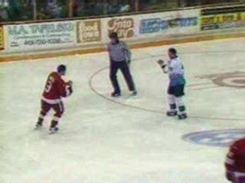 hockey-bagarre super fight