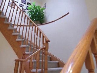 Dave Elfassy Vaughan Real Estate: 49 Loma vista Drive