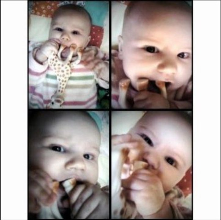 Vulli Sophie the Giraffe Teether