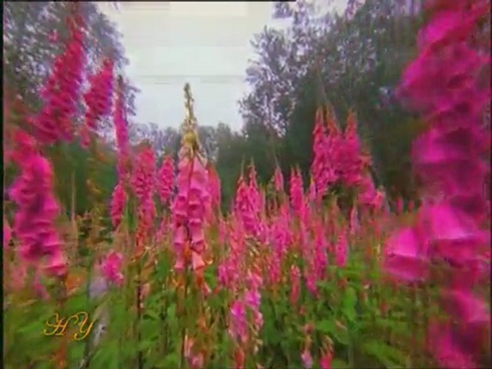 BEDIUZZAMAN HAZRETLERI  HZ. MEHDI,  HZ ISA (AS) ILE BIRLIKTE  AHIR ZAMAN FITNESINI TAM OLARAK SUSUTURACAGINI SOYLUYOR