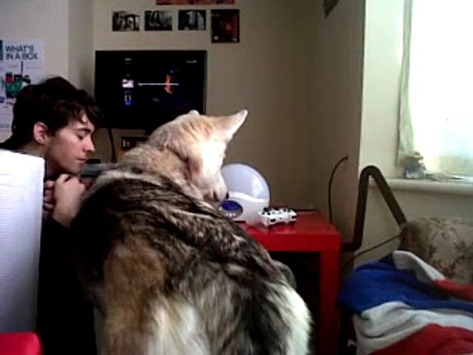 Lumie