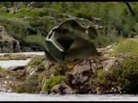 Vor 127 000 000 Jahren BC - Kreidezeit - Im Reich der Giganten 04 - Unter Flügeln von Giganten