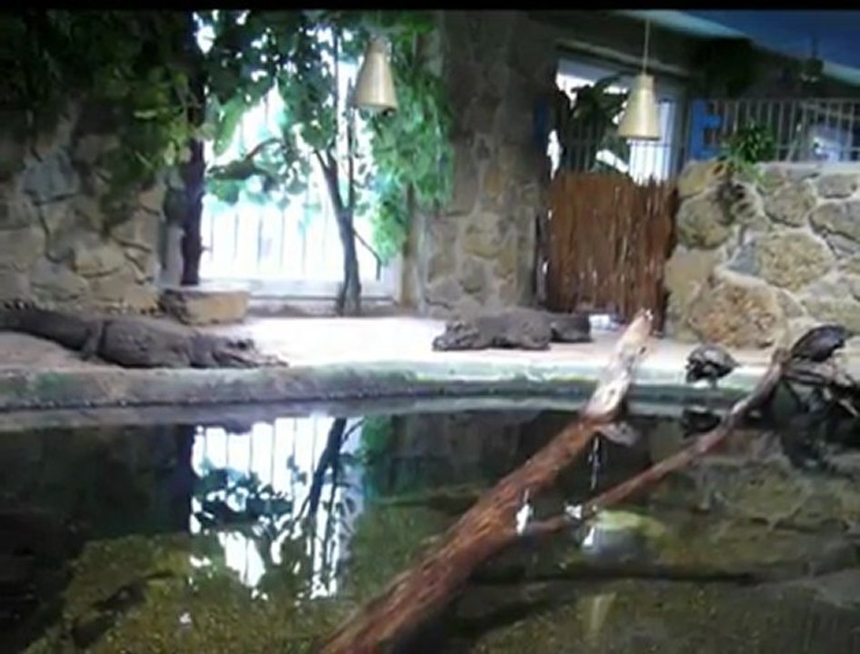 Besuch im Meeresaquarium Zella-Mehlis / Thüringen 2011