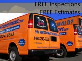 Mold Removal San Diego - Call (619) 866-3569