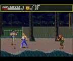 Streets of Rage / Bare Knuckle