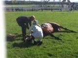 Cheval fait une crise cardiaque