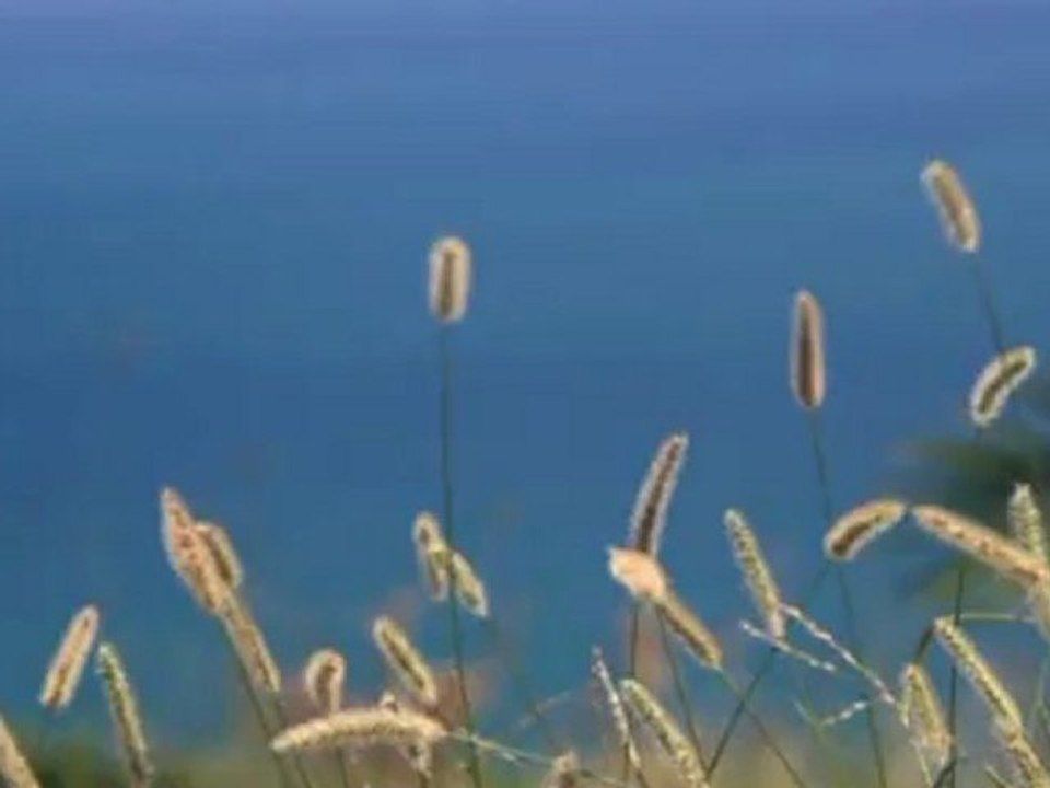 My Video dailymotion 0215D