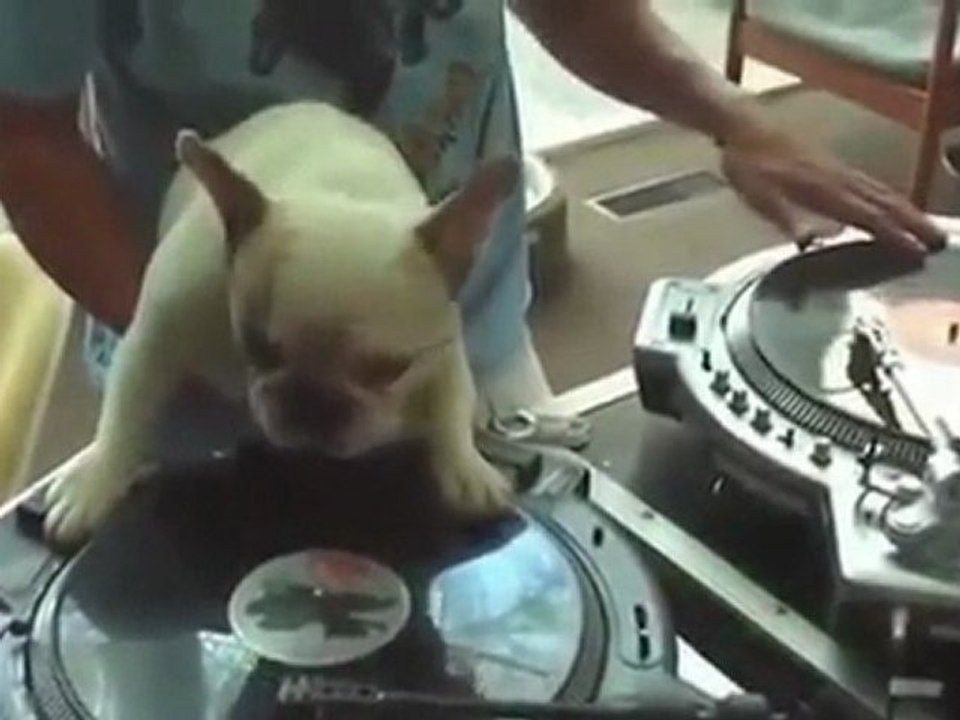 Le Zap de Spi0n.com n°103 - (12-02-2012)