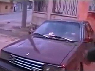 فري برس   ادلب    نزوح أهالي المدينة 14 2 2012