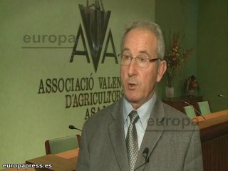 Heladas acaban con la cosecha de alcachofas