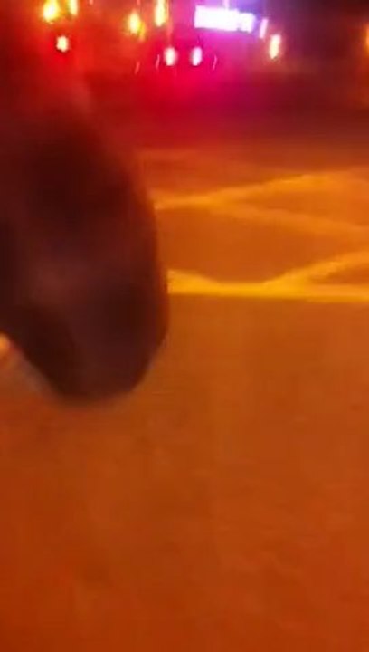 Les mystères de Pékin