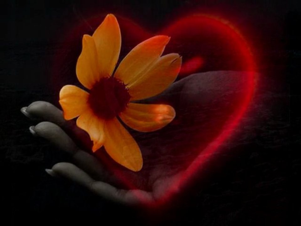 Nacash - il faut du temps