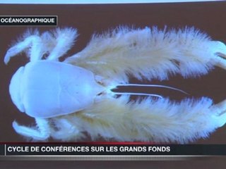 Conférence de Michel Segonzac - De la Galathée Yéti au calmar géant