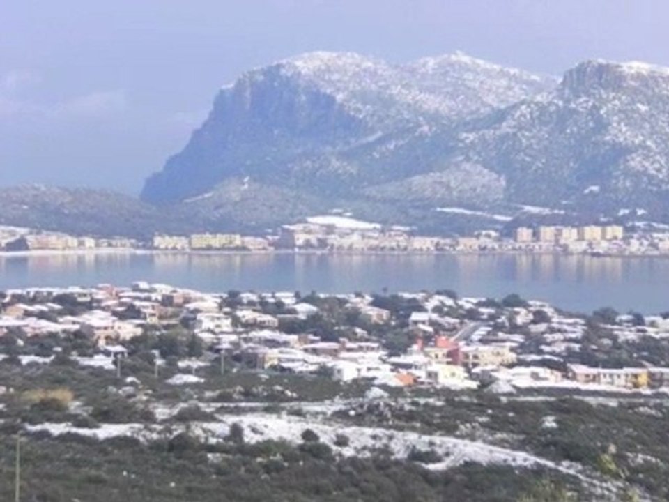 spotneve