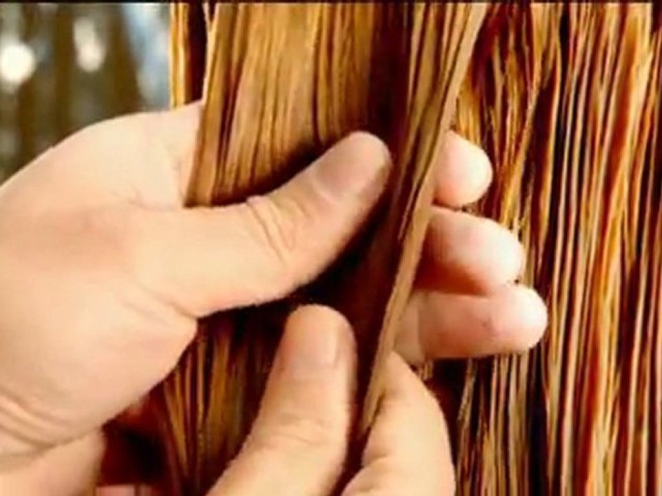 ELİDOR ADVERTORIAL 1