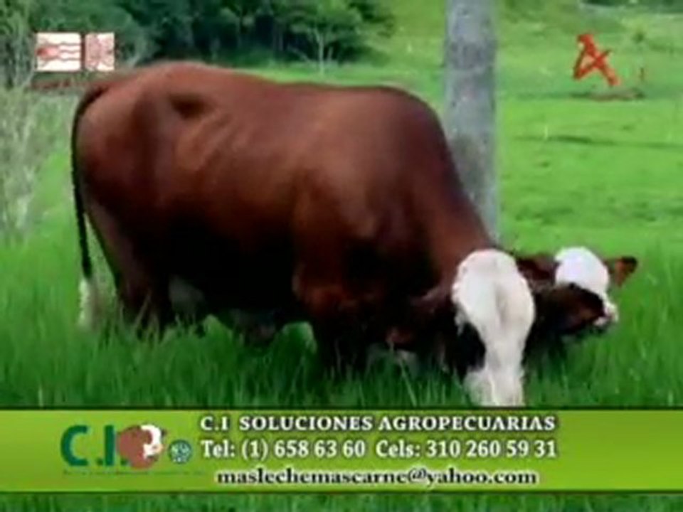 2_NUTRISILO Febrero 15 de 2012