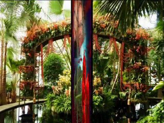 Je viens de tres loin