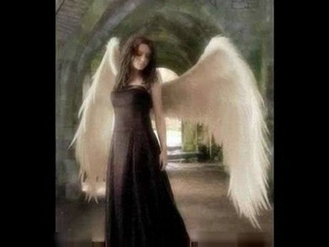 Zülfi LİVANELİ BÖYLEDİR BİZİM SEVDAMIZ