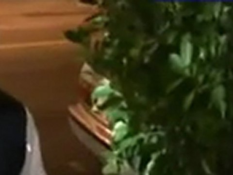 Pauly Shore Goes To Crown Bar