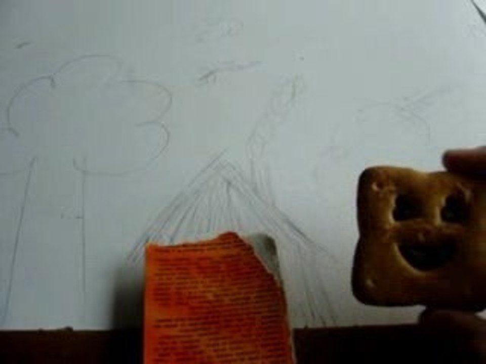 Histoire BN