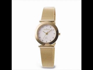 Skagen Bayan Kol Saati
