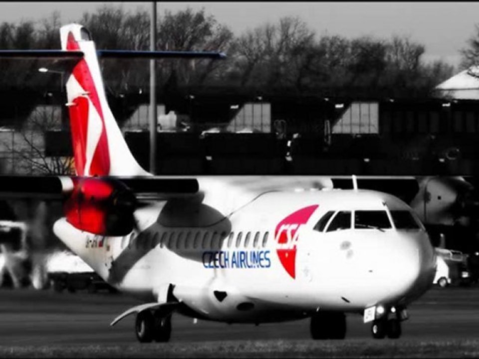 Pilot dies on Czech flight