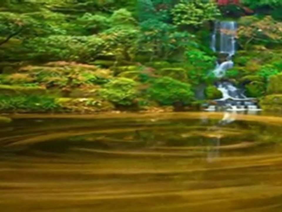 Wybacz Przepraszam Cię