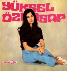 Yüksel Özkasap - Perişan Bir Divaneyim