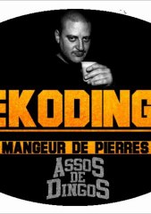 instru 109 bzuit ( by fréko )