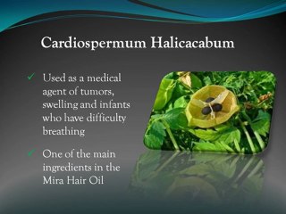 Ingredients of Mira Hair Oil