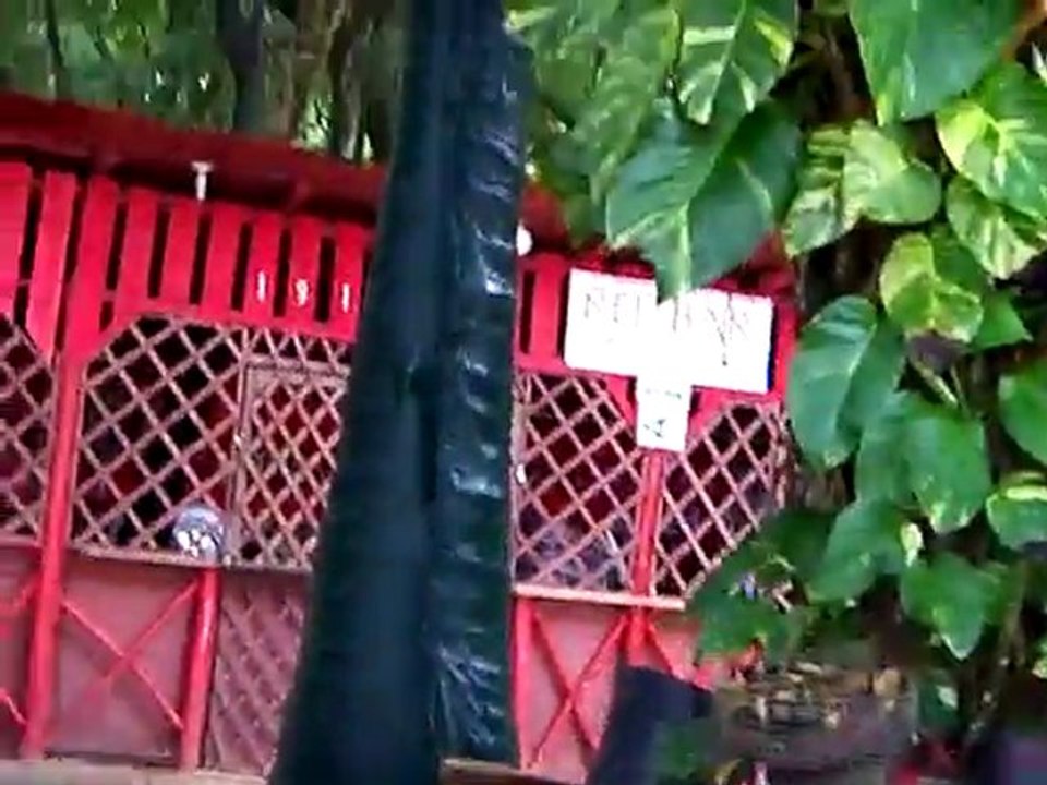 Sosua Beach in Puerto Plata province, Dominican Republic