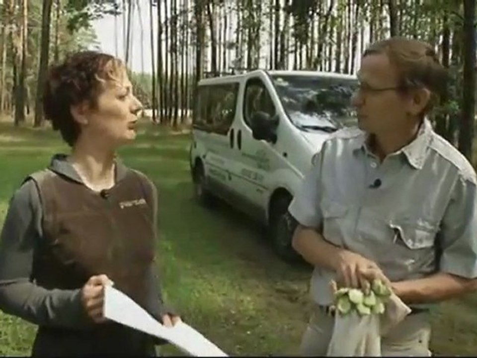 Peut-on encore sauver les chauves-souris (Xenius)