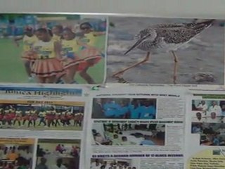 Pond dipper cafe of Cap Juluca