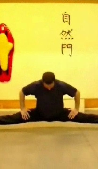 Школа Кунг фу "Chuan-shu". Стиль "czyzhan men". Москва.