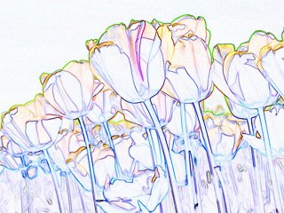 Ben seni ölümüne---Mc.KaRaMeLeK & Mc.Mueet