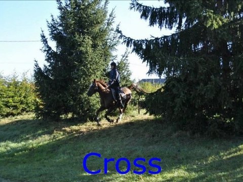 Centre équestre et poney club de La Motte Feuilly