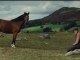 Cheval de Guerre - Extrait : Albert dresse son cheval Joey [VF|HD]