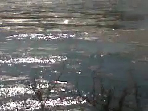 VID 00198-20120211-1153