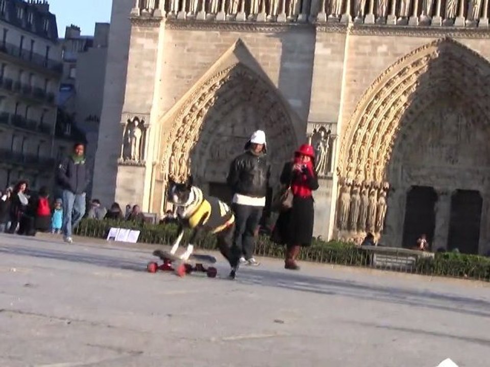 Amazing Neo Tuxedo back again skateboarding in Paris