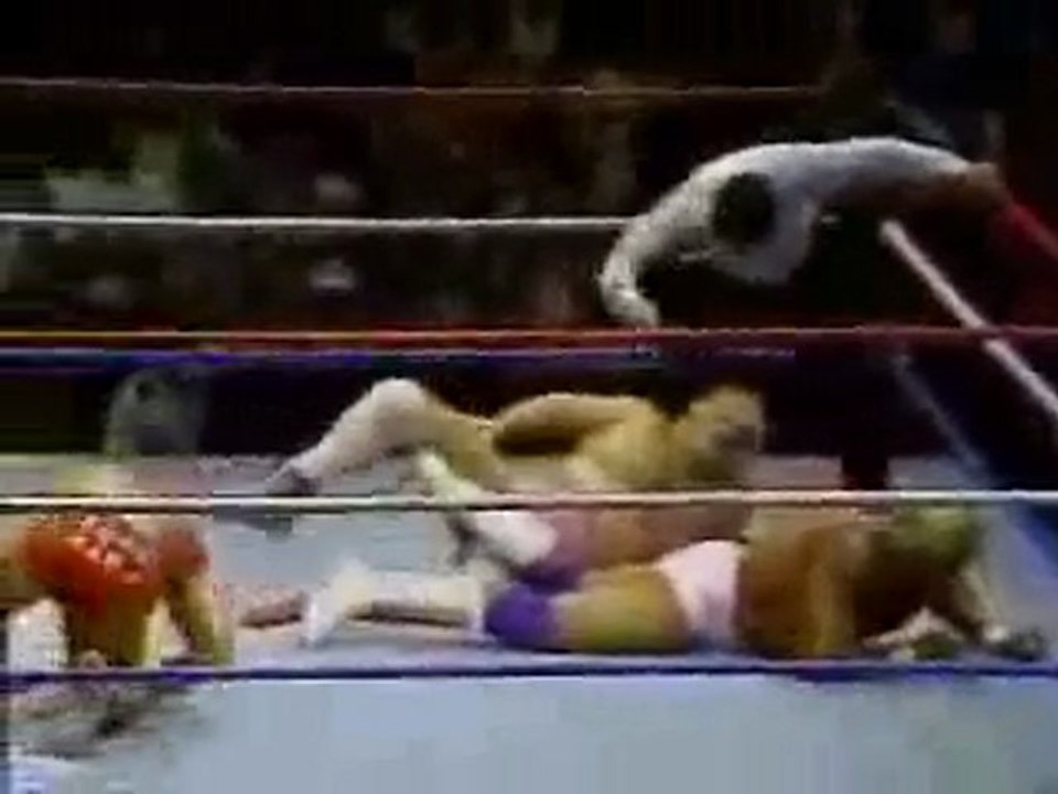 Hulk Hogan & George Steele vs Randy Savage & Adrian Adonis