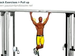 pull up exercises