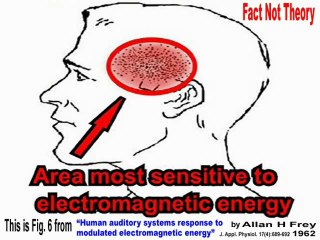 Question of Satan or Human Mind Control Perps