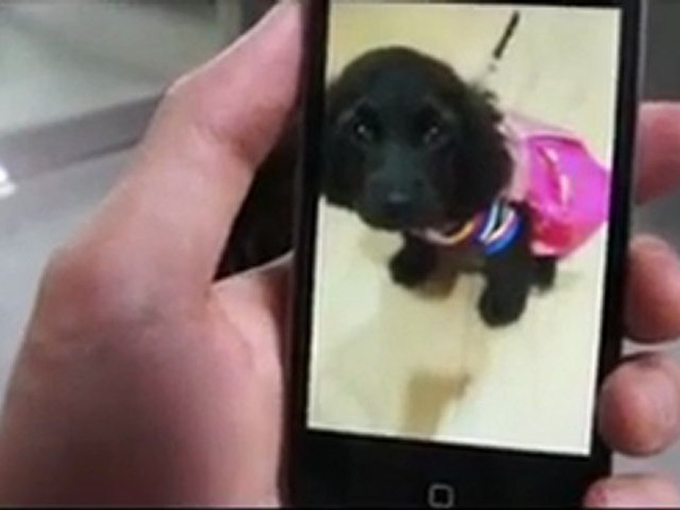 Jang Keun Suk and his dog Suni