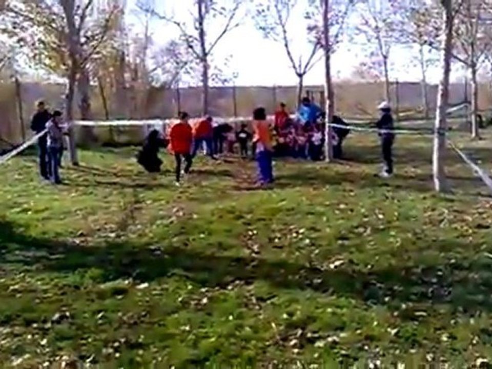 carrera de la sara 2