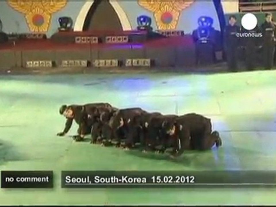 South Korea launches a security squad - no comment