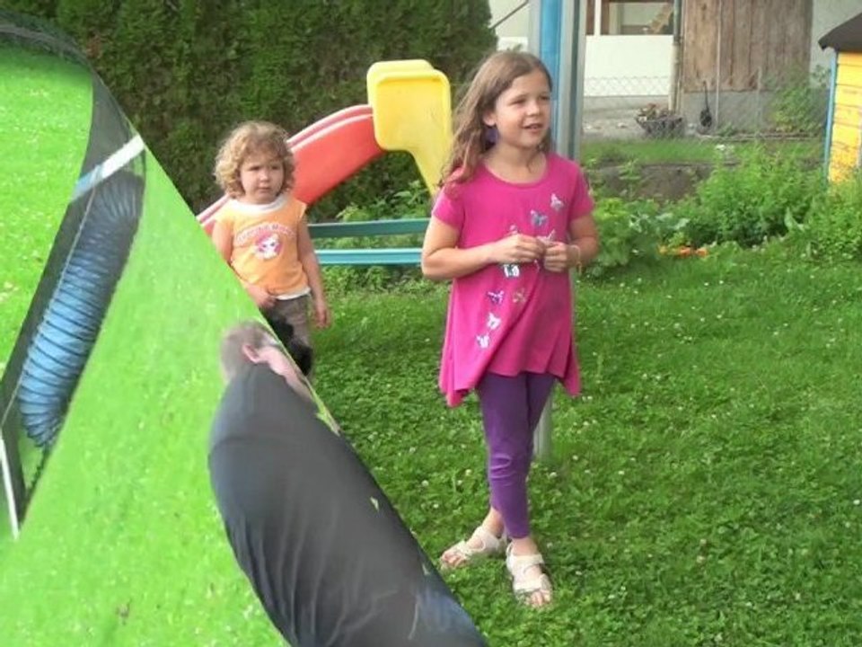 Der Barbet, ein idealer Familienhund